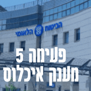 פעימה חמישית מענק איכלוס 2024 טופס הצהרה 